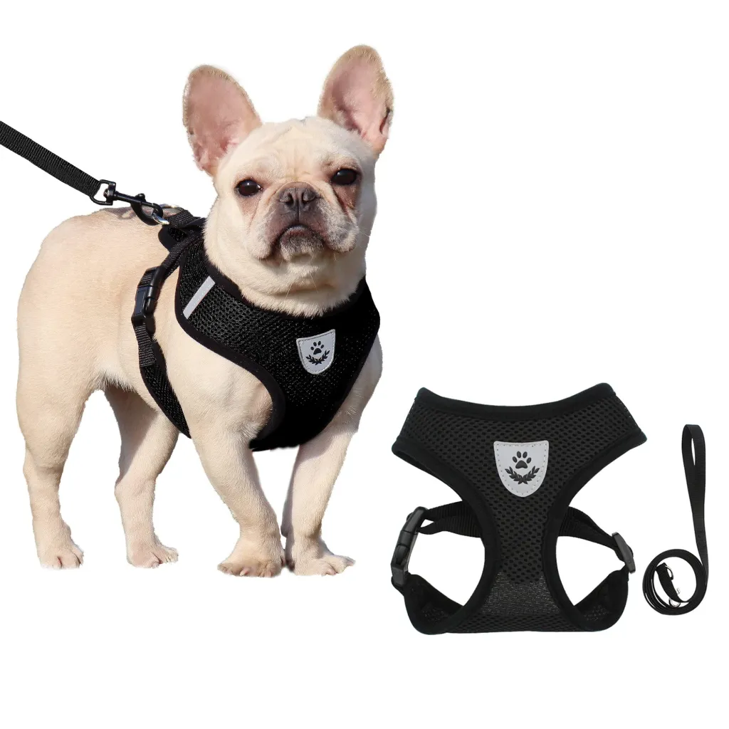 Pecheras para perros