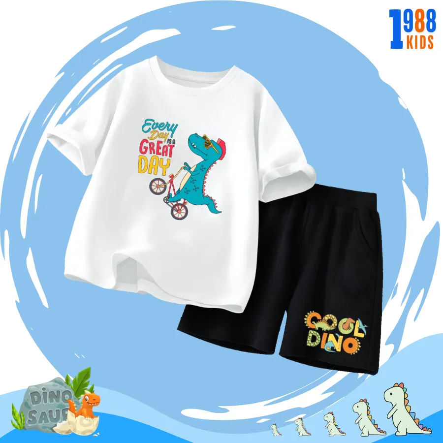 Ropa de Niño Variedad